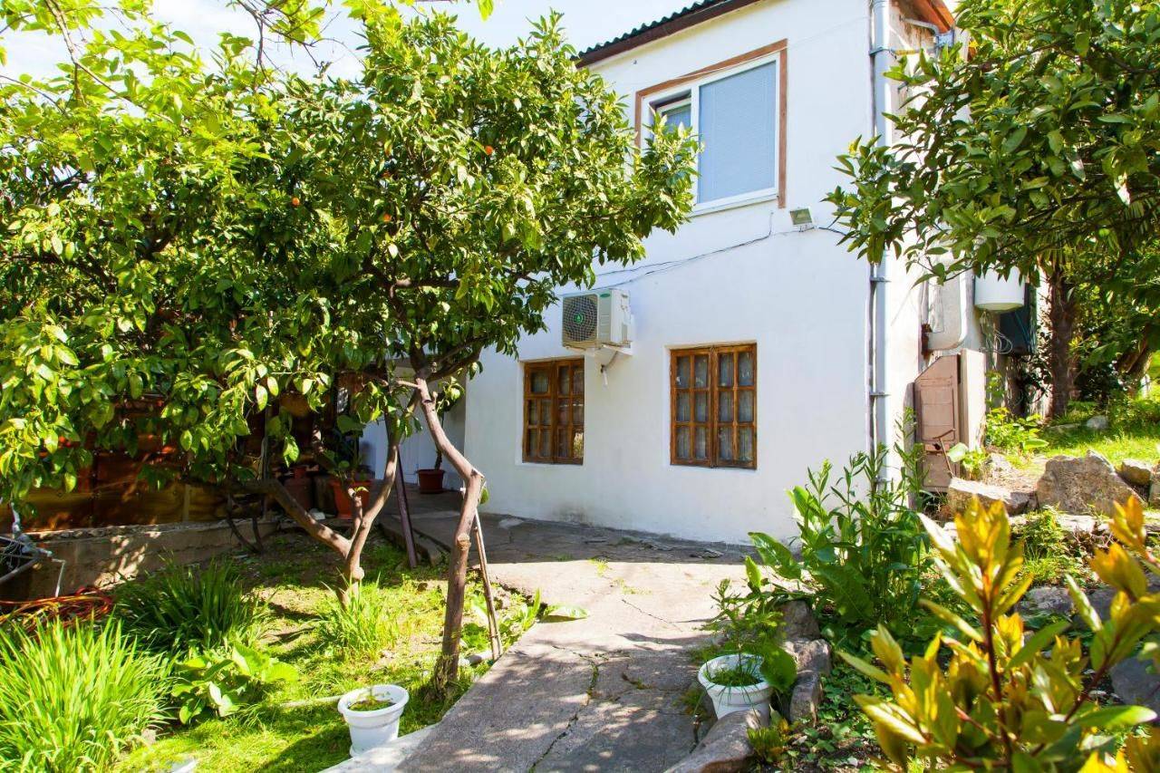 Гостевой дом kulianoff цандрипш. Гостевой дом цандрипш абхазия. Абхазия цандрипш улица октябрьская. Гостевые дома в абхазии 2022 цандрипш. Октябрьская 220 цандрипш.